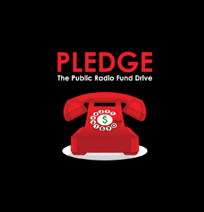 PLEDGE: The Public Radio Fund Drive Pledge Survey Image