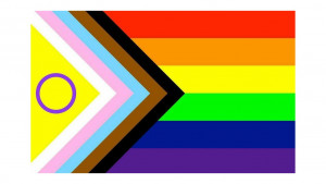 Progress Pride Flag - Daniel Quasar, artist based in Portland, OR