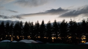 A wall of trees stands darkly between campfires and a dimly lit sky