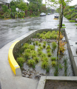 Curbside Swale 45th & Clay, Portland, OR Curbside Swale 45th & Clay, Portland, OR