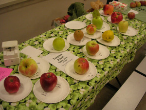 some varieties of apples produce earlier than others