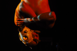 READING GROUPS: JAAMIL OLAWALE KOSOKO’S AMERICAN CHAMELEON: THE LIVING INSTALLMENTS