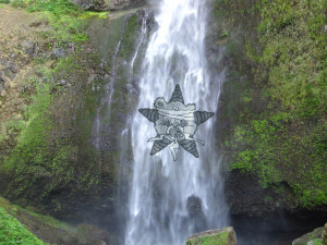 Self Help Radio Waterfalls Show