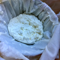 Goat Cheese Chevre