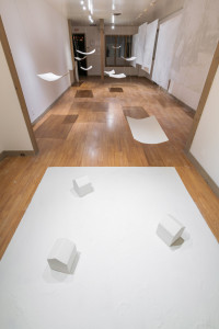 af_11172020_thomas_orr_transitory_refuge_and_other2_questions_.jpg af_11172020_thomas_orr_transitory_refuge_and_other2_questions_.jpg