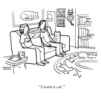 ny_3830_wantacat.jpg