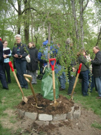 Memorial Tree planting in Morningside Park by Columbia University Memorial Tree planting in Morningside Park by Columbia University